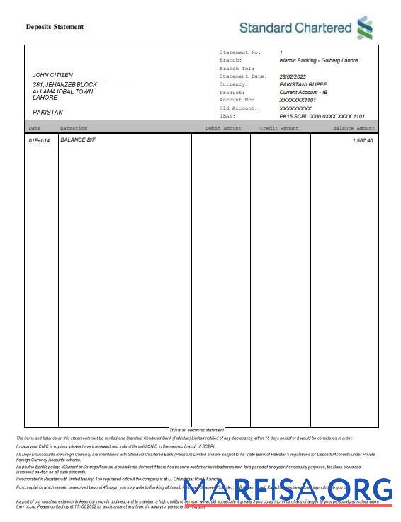 Realistic Pakistan Standard Chartered bank statement word real example